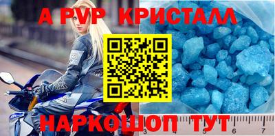 стаф Кингисепп