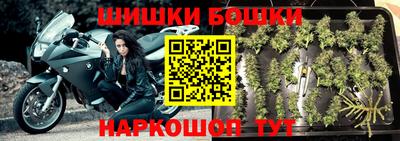 стаф Кингисепп