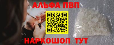 стаф Кингисепп