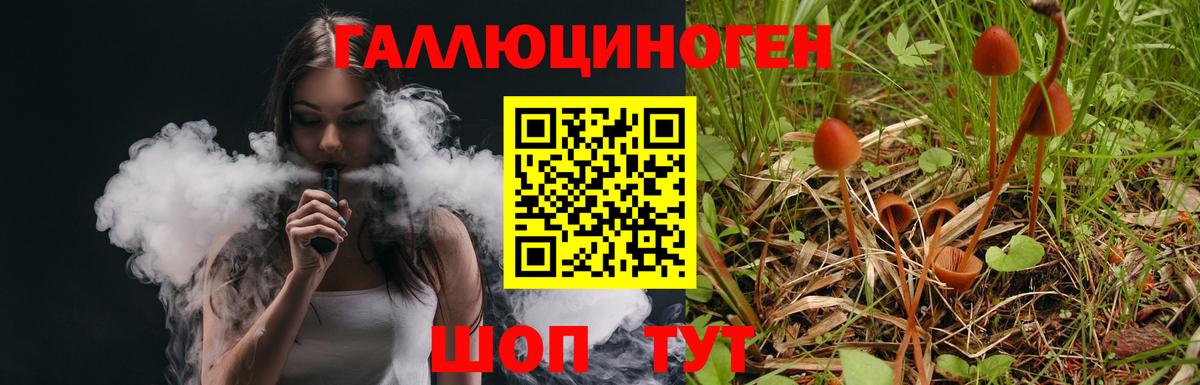 Подольск  Галлюциногенные грибы MAGIC MUSHROOMS  Вход с VPN 