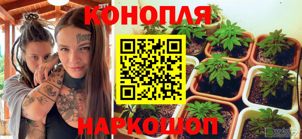 Канабис MAZAR  Бошки марихуана ГИДРОПОН  Марихуана MAZAR  Подольск  Вход с VPN 